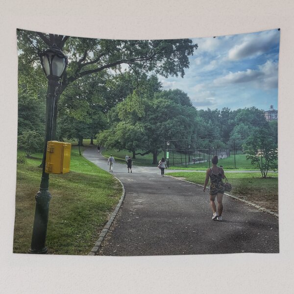 Item preview, Central Park, Manhattan, New York City  designed and sold by eleonoraingrid.
