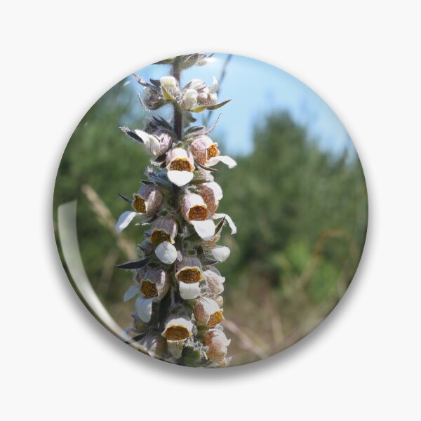 Item preview, Mountain landscape with wild plant designed and sold by mariya-ivanova.