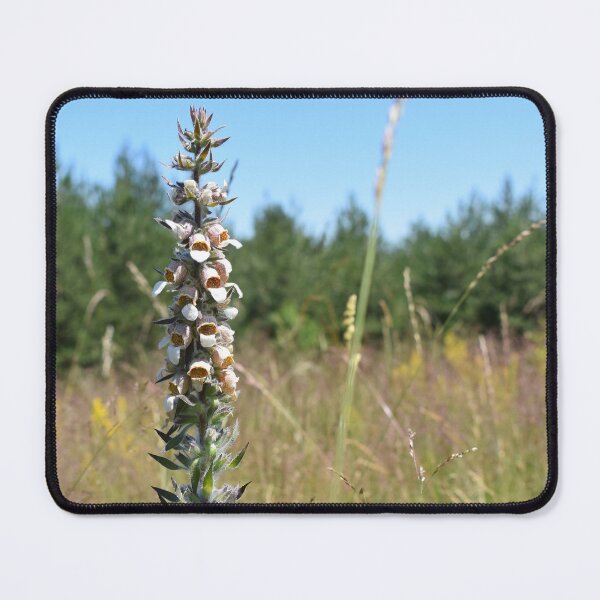 Item preview, Mountain landscape with wild plant designed and sold by mariya-ivanova.