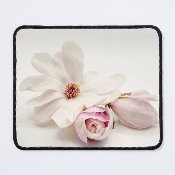 Item preview, Magnolia stellata 02 designed and sold by Weston Westmoreland.