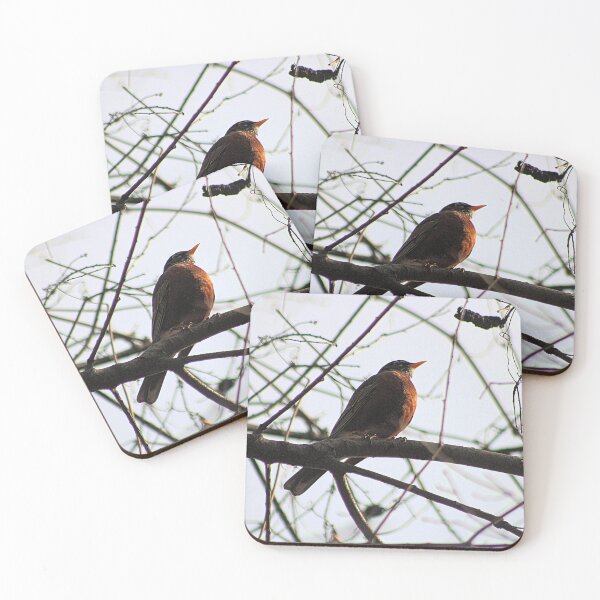 Item preview, BEAKS UP designed and sold by BOLLA67.