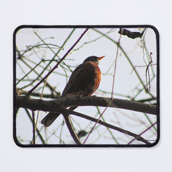 Item preview, BEAKS UP designed and sold by BOLLA67.