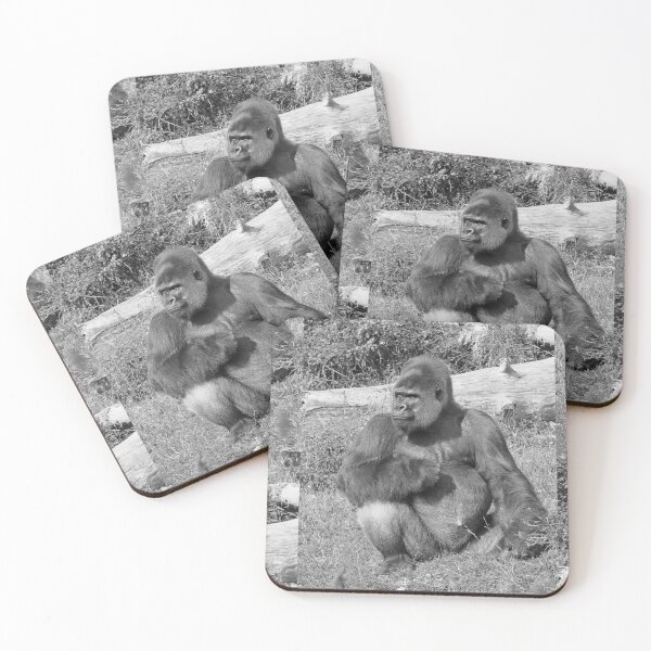 Item preview, r798/  New finition 2021: A gorilla " Silver Back " (7 n&b) (h) "  Star d'un jour... "  Okaio Créations -  Olavia - Olao designed and sold by o.okaïo.