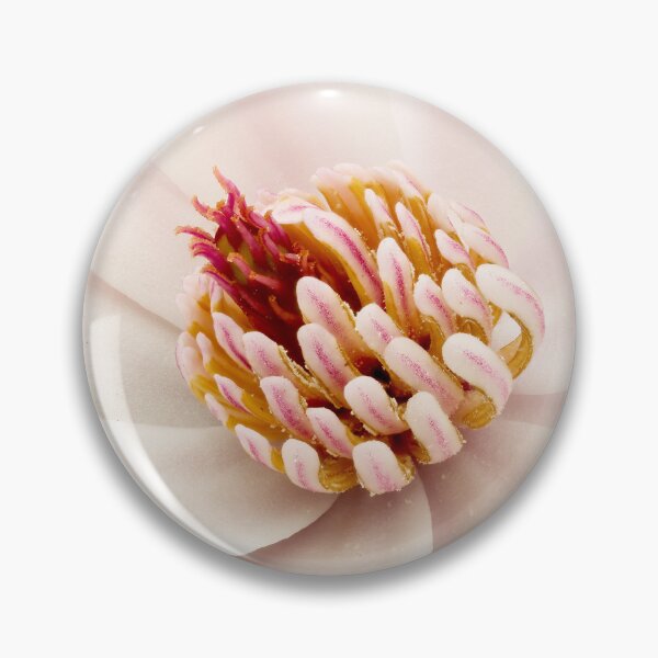 Item preview, Magnolia stellata 03 designed and sold by Weston  Westmoreland.