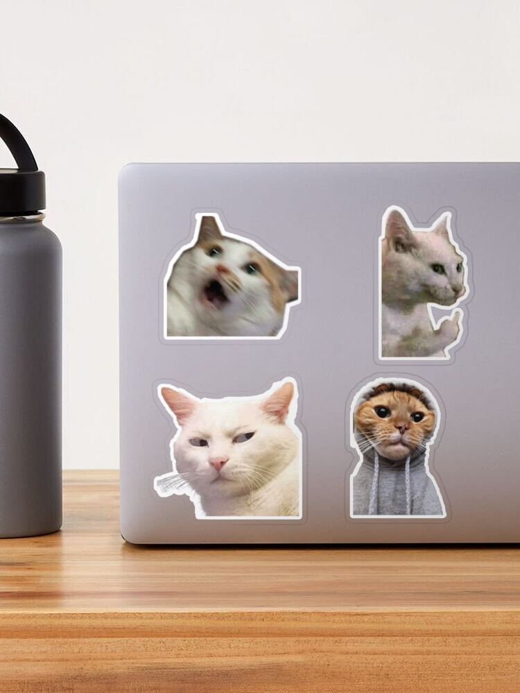 Funny Cat look angry Meme Sticker Bundle meow kitten cat lady funny cat  memes | Magnet