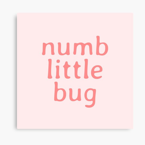 Numb little bug