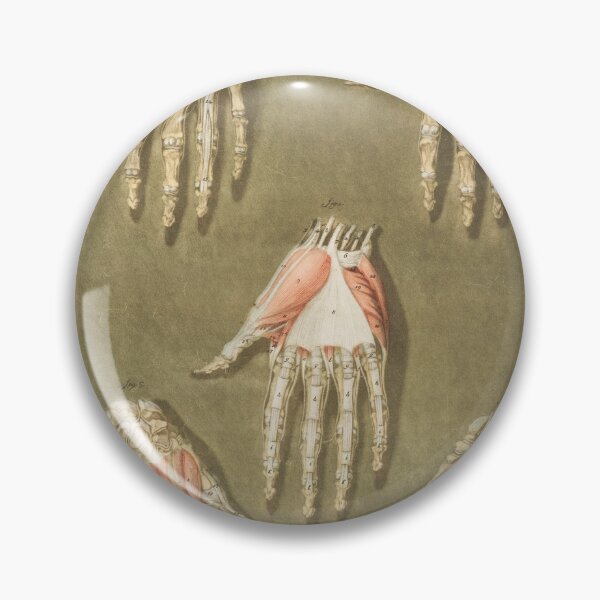 Item preview, Hand Vintage Anatomy designed and sold by POSTERAMALA.
