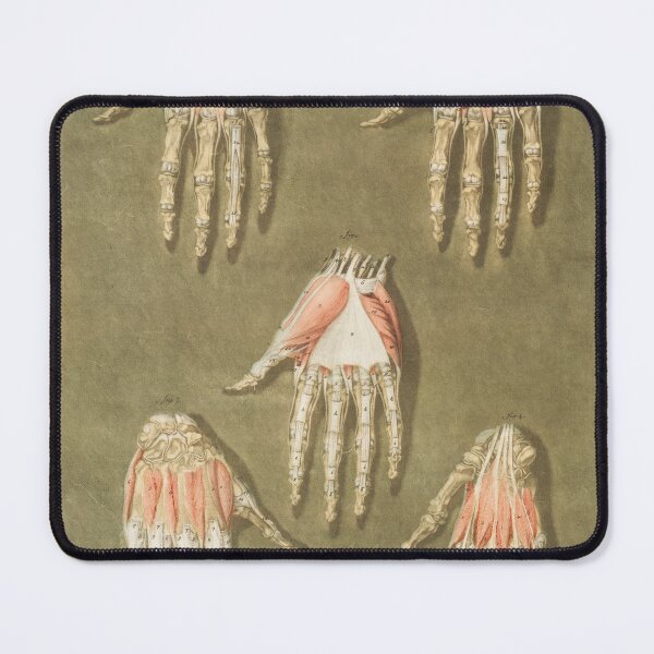 Item preview, Hand Vintage Anatomy designed and sold by POSTERAMALA.
