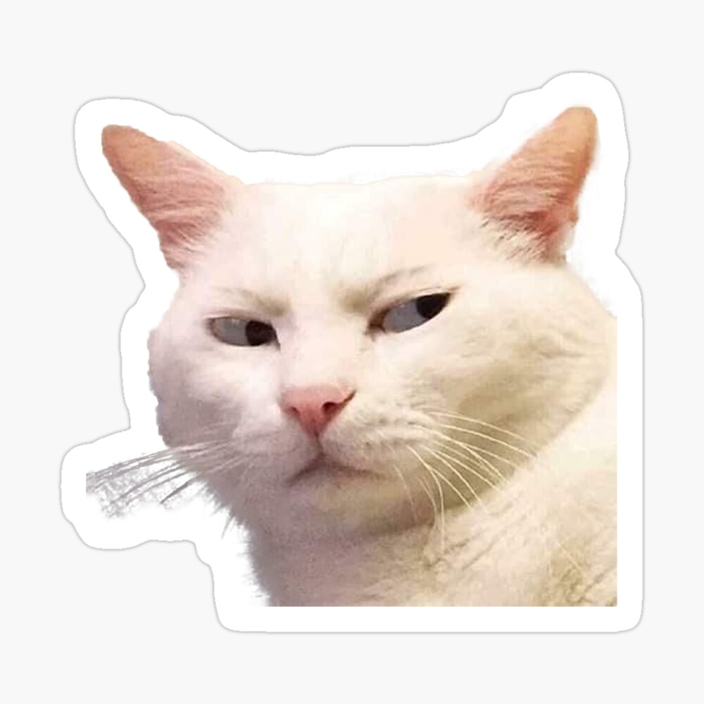 angry cat meme, angry cat, funny angry cat | Sticker