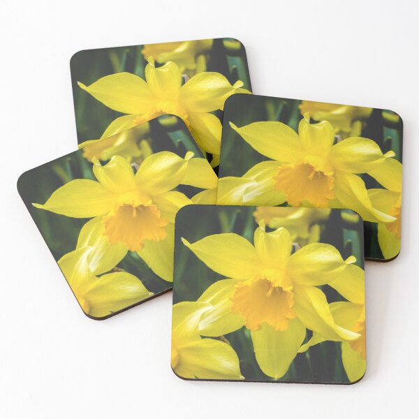 Item preview, Yellow Daffodil Spring Flowers designed and sold by silviaol.