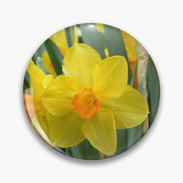 Item preview, Garden Yellow Daffodil Spring Flowers designed and sold by silviaol.