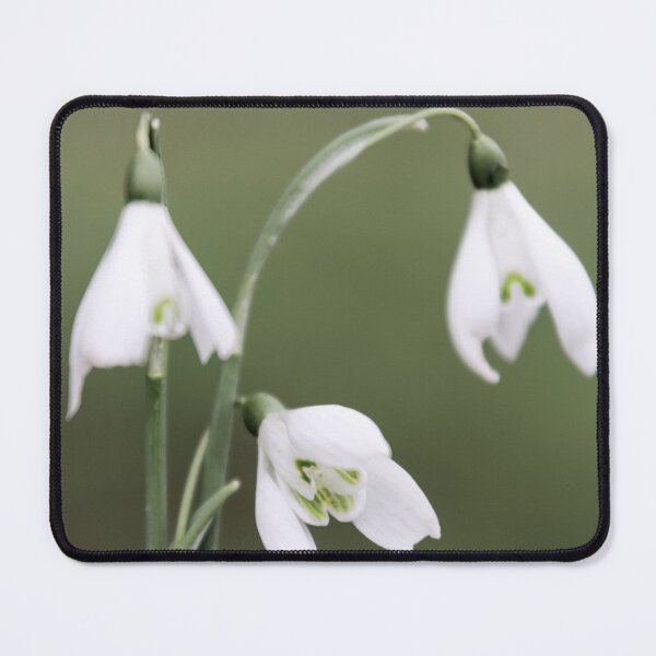 Item preview, Snowdrops  designed and sold by JEZ22.