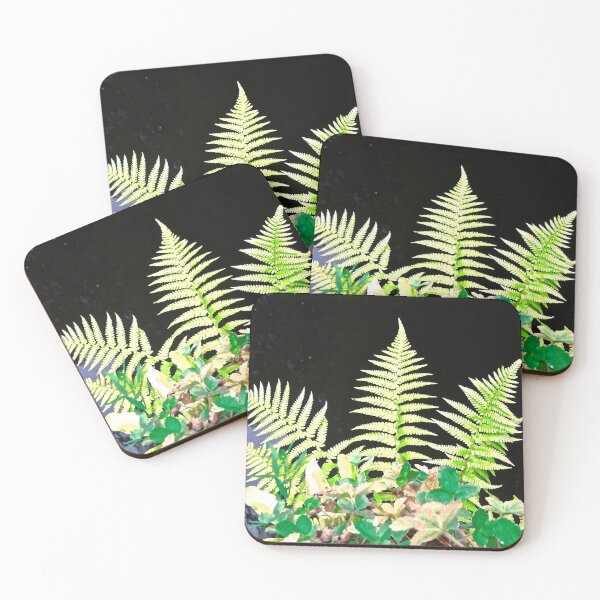 Item preview, Ferns growing on a bridge in Derry designed and sold by Shulie1.