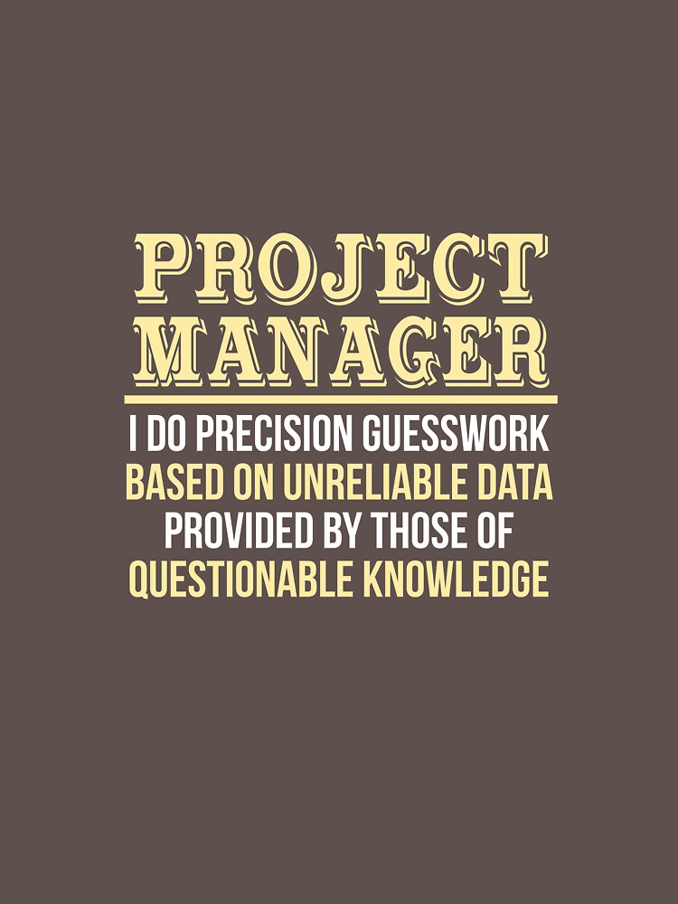 project management professional meaning project management professional meaning