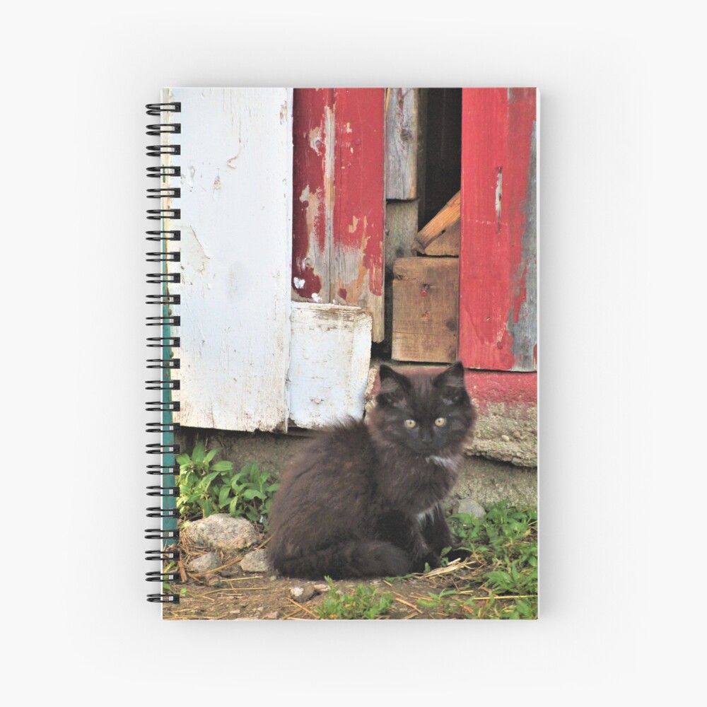 Item preview, Spiral Notebook designed and sold by mrcraig1234.
