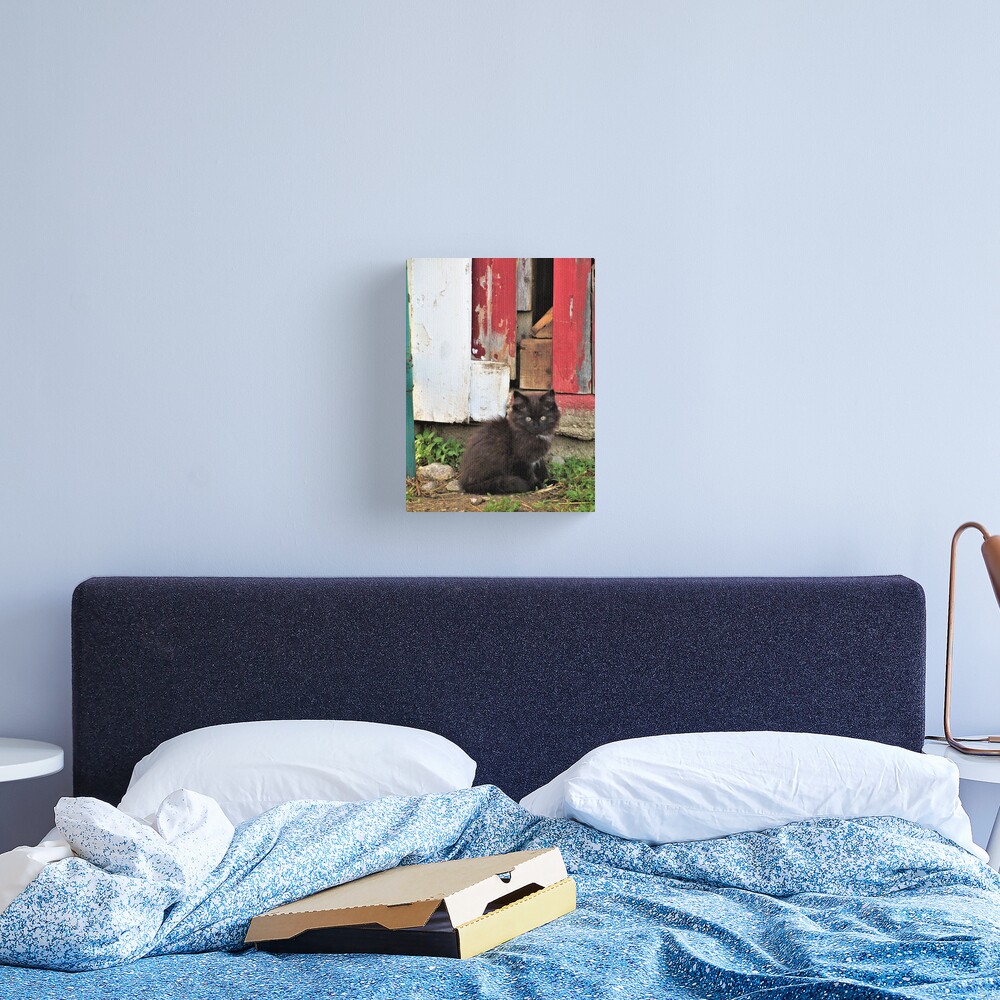 Kitten by Barn Door Canvas Print
