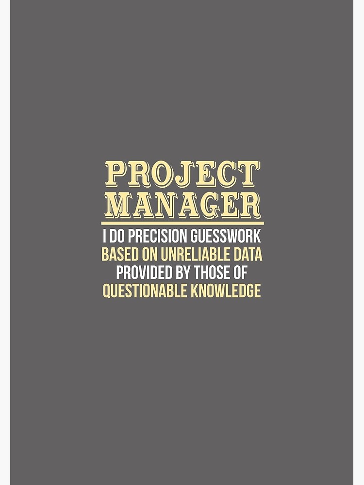 project management professional meaning