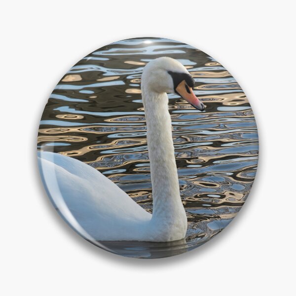 Item preview, Mute Swan on the River Exe at Exeter designed and sold by Dorset Girl.