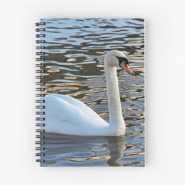 Item preview, Mute Swan on the River Exe at Exeter designed and sold by Dorset Girl.