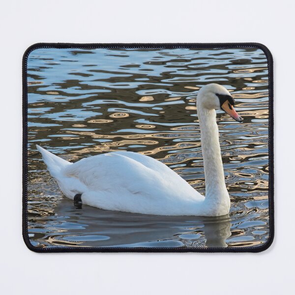 Item preview, Mute Swan on the River Exe at Exeter designed and sold by Dorset Girl.