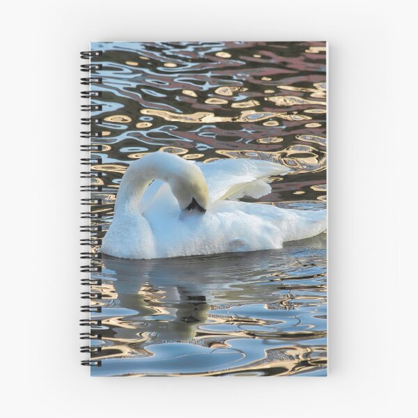 Item preview, Mute Swan on the River Exe at Exeter Edit designed and sold by Dorset Girl.