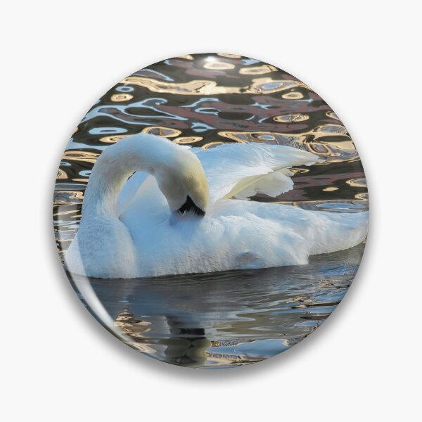 Item preview, Mute Swan on the River Exe at Exeter Edit designed and sold by Dorset Girl.