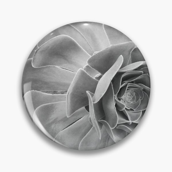 Item preview, A Desert Garden with Succulents in B&W! designed and sold by NancyKHajjar.