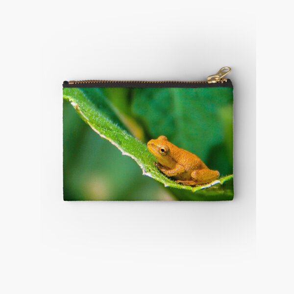 Item preview, Orange Northern Peeper designed and sold by Kelly Carmody.