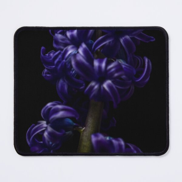 Item preview, Purple Hyacinth designed and sold by DonnaMariePhoto.