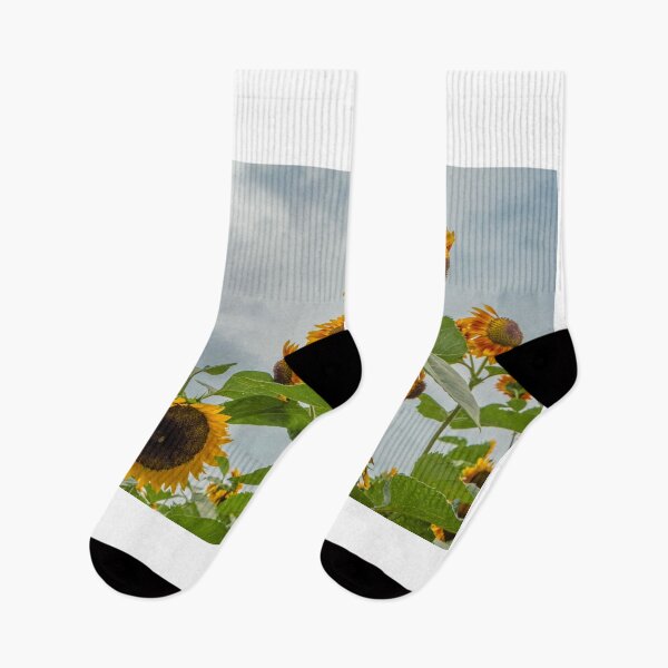 Item preview, Sunflower Group designed and sold by barkeypf.