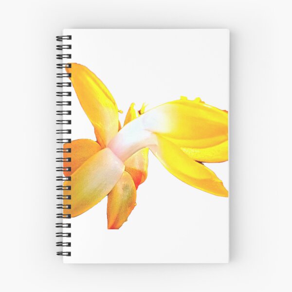 Item preview, Christmas cactus flower designed and sold by LittleCountess.