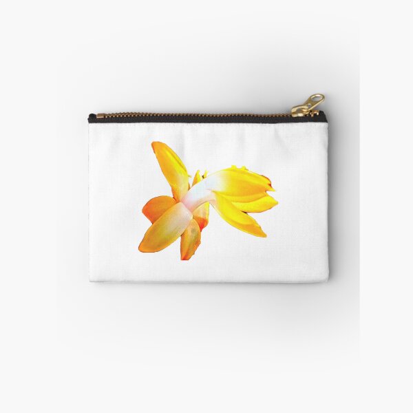 Item preview, Christmas cactus flower designed and sold by LittleCountess.