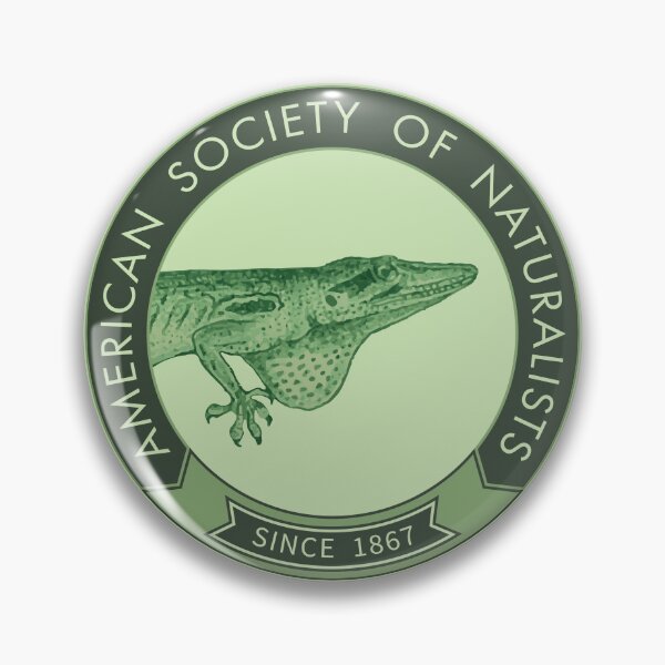Item preview, Anole (Green) designed and sold by American Society of Naturalists.