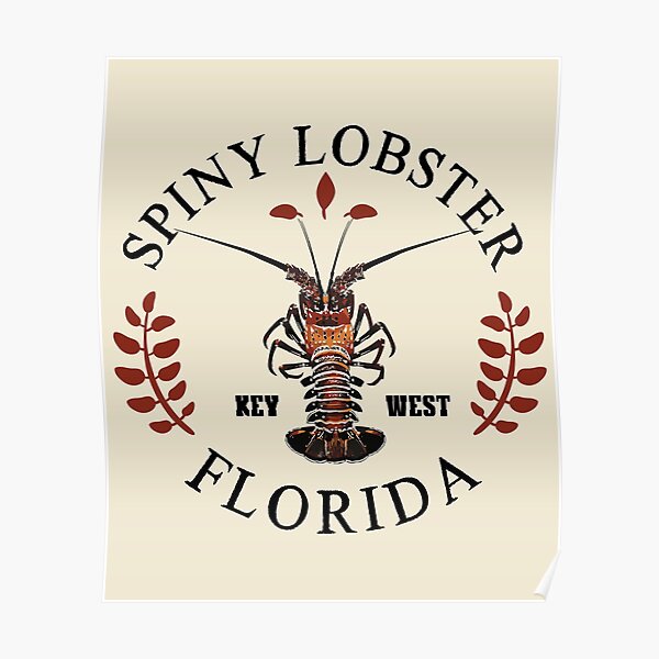 "Spiny Lobster Key West Florida Vintage Rock Spiny Lobster Seafood
