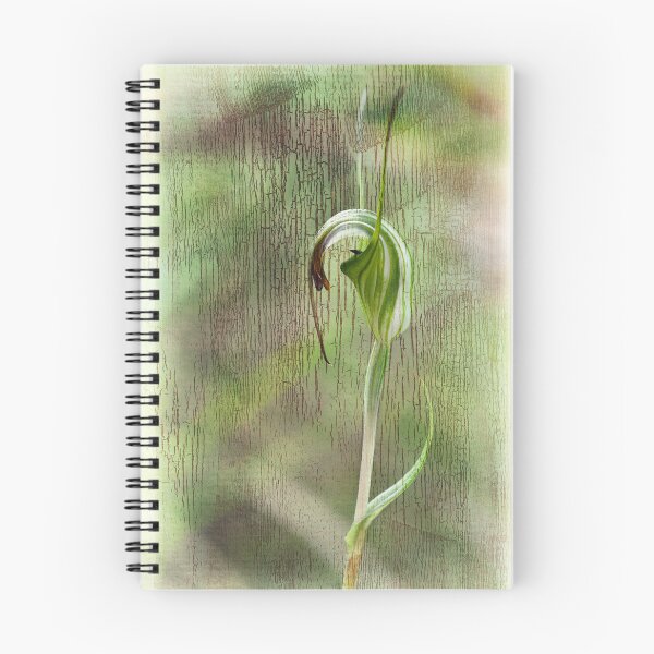 Item preview, Green Hood.  designed and sold by DaveBassett.