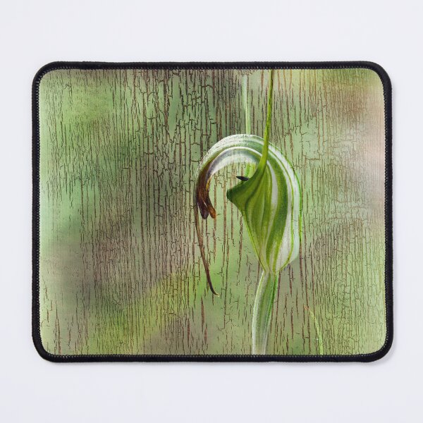 Item preview, Green Hood.  designed and sold by DaveBassett.