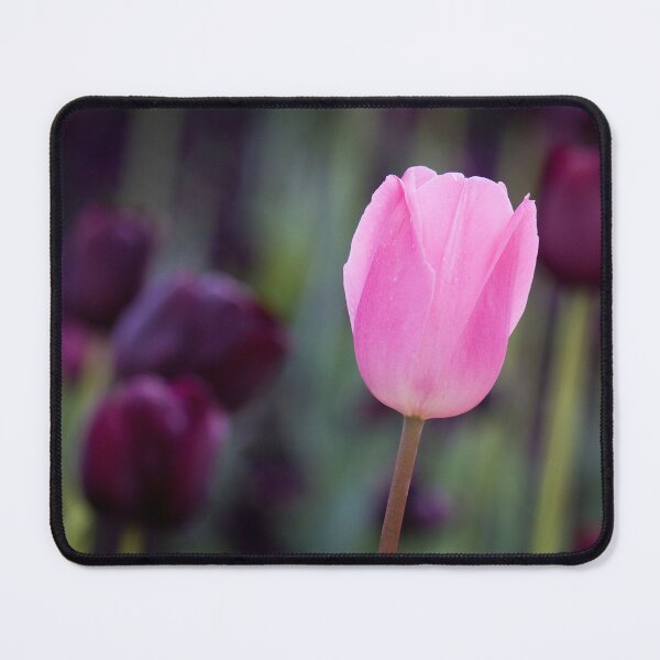 Item preview, Stand alone. designed and sold by DaveBassett.
