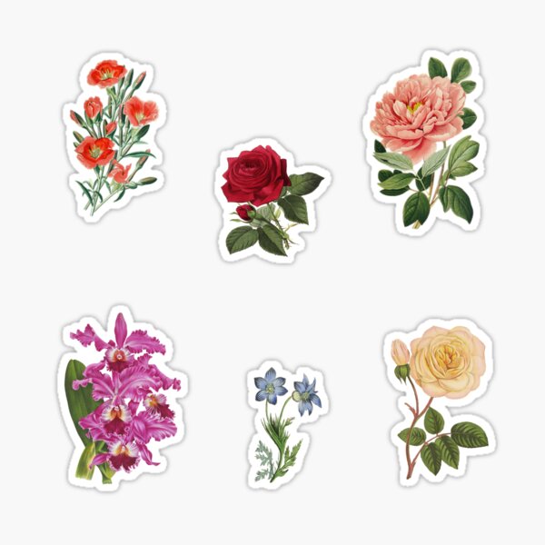 Vintage Flower Stickers by prettydamnnotbad