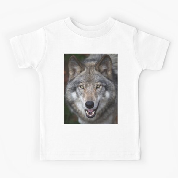 Timber Wolf Kids T Shirts Redbubble - roblox timber wolf shirt