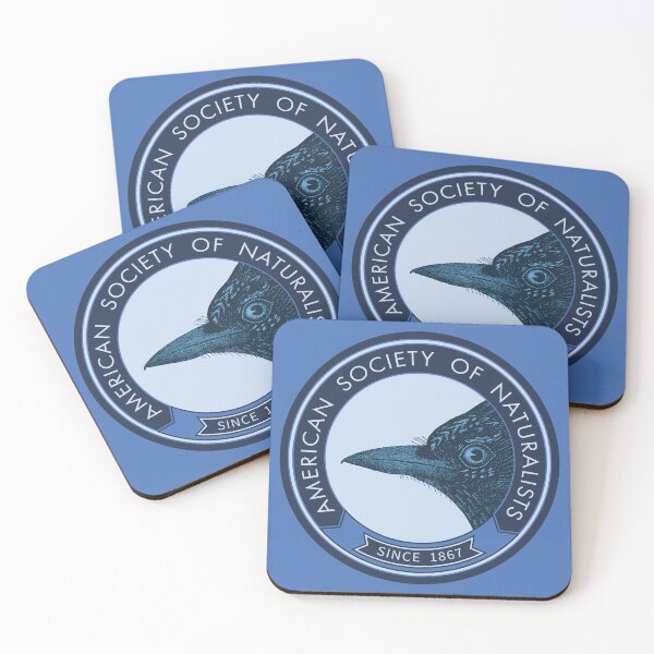 Aperçu de l'œuvre Jay (Indigo) créée et vendue par American Society of Naturalists.