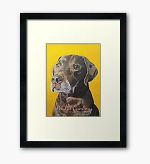 Toby the Chocolate Lab Framed Print