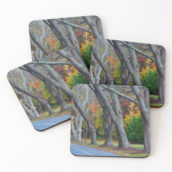 Item preview, Assateague Autumn Drive designed and sold by Linda Sannuti.