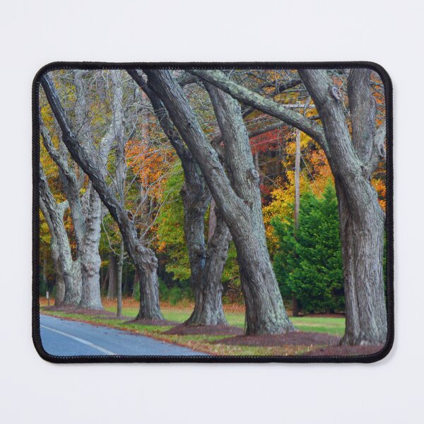 Item preview, Assateague Autumn Drive designed and sold by Linda Sannuti.