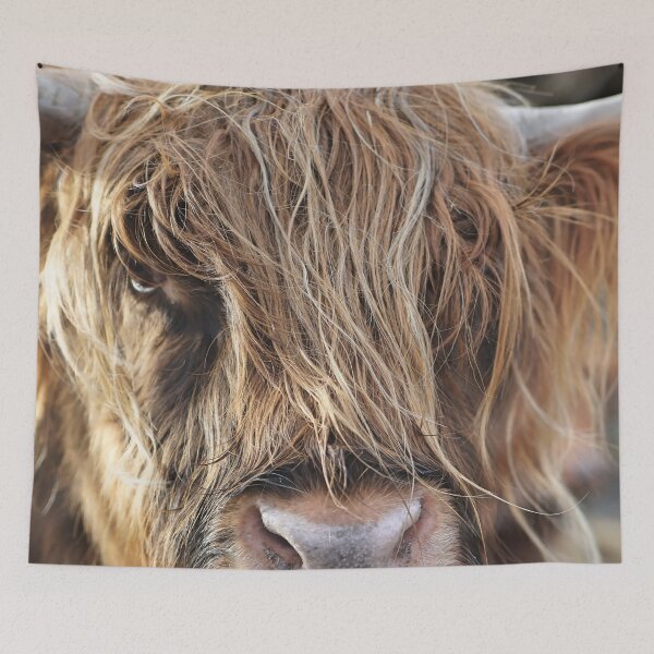 Item preview, The Highland Cow - The REAL Highlander designed and sold by Shounenbat.