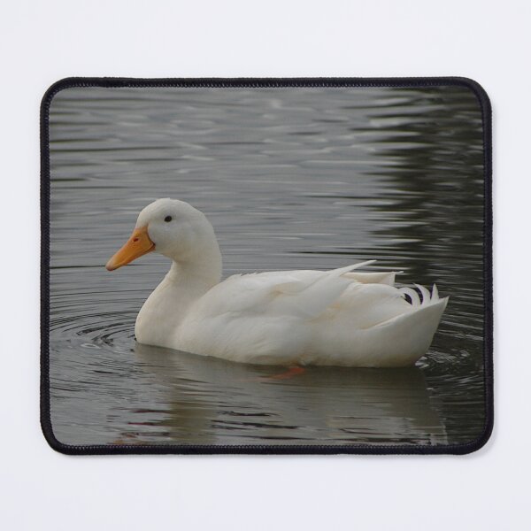 Item preview, White Duck, Chinese Gardens, Lambing Flat, Australia 2011 designed and sold by muz2142.