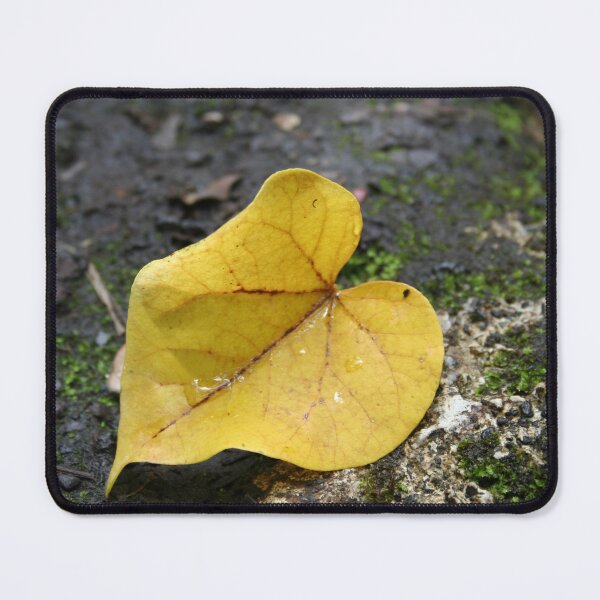 Item preview, Yellow Leaf designed and sold by Linda Sannuti.