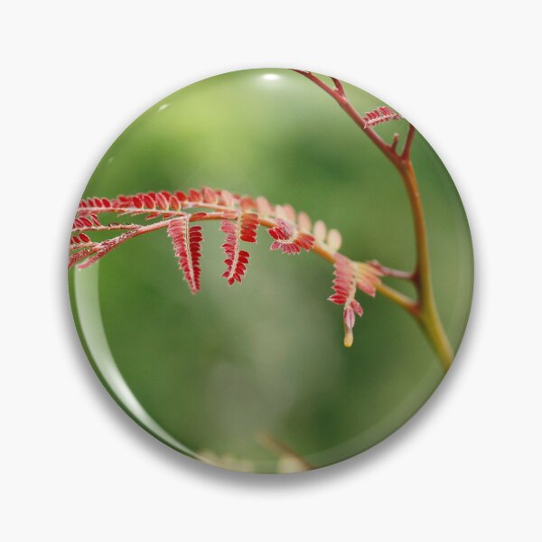 Item preview, Hope designed and sold by Texas Enfocus Photography.