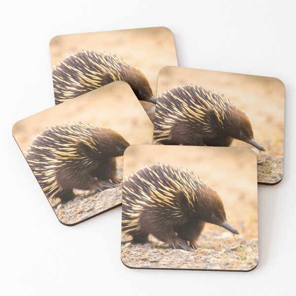 Item preview, Ant.....icipating The Next Meal designed and sold by CBoyle.