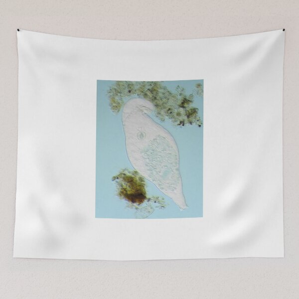 Item preview, Bdelloid rotifer under the microscope designed and sold by SDym Photography.