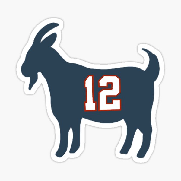 Tom Brady Shirt Tampa Bay Buccaneers GOAT TB12 Super Bowl 55 LV NFL  Throwback